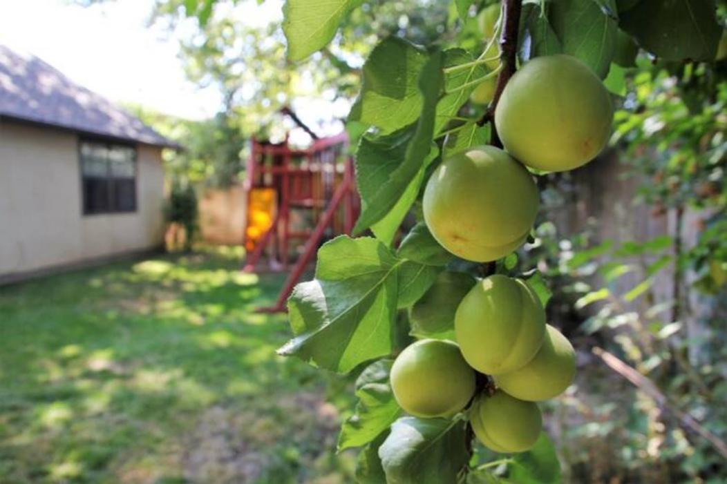 Experience Nirvana With Artwork Collections From Around The Globe Located In Lakewood Neighborhood In Se Boise Next To A Park, Minutes From Bown Crossing And The Boise River, 10 Minutes To Downtown, 4 Beds, Sleeps 8, Pets Welcome In Large Fenced In Y Exterior foto